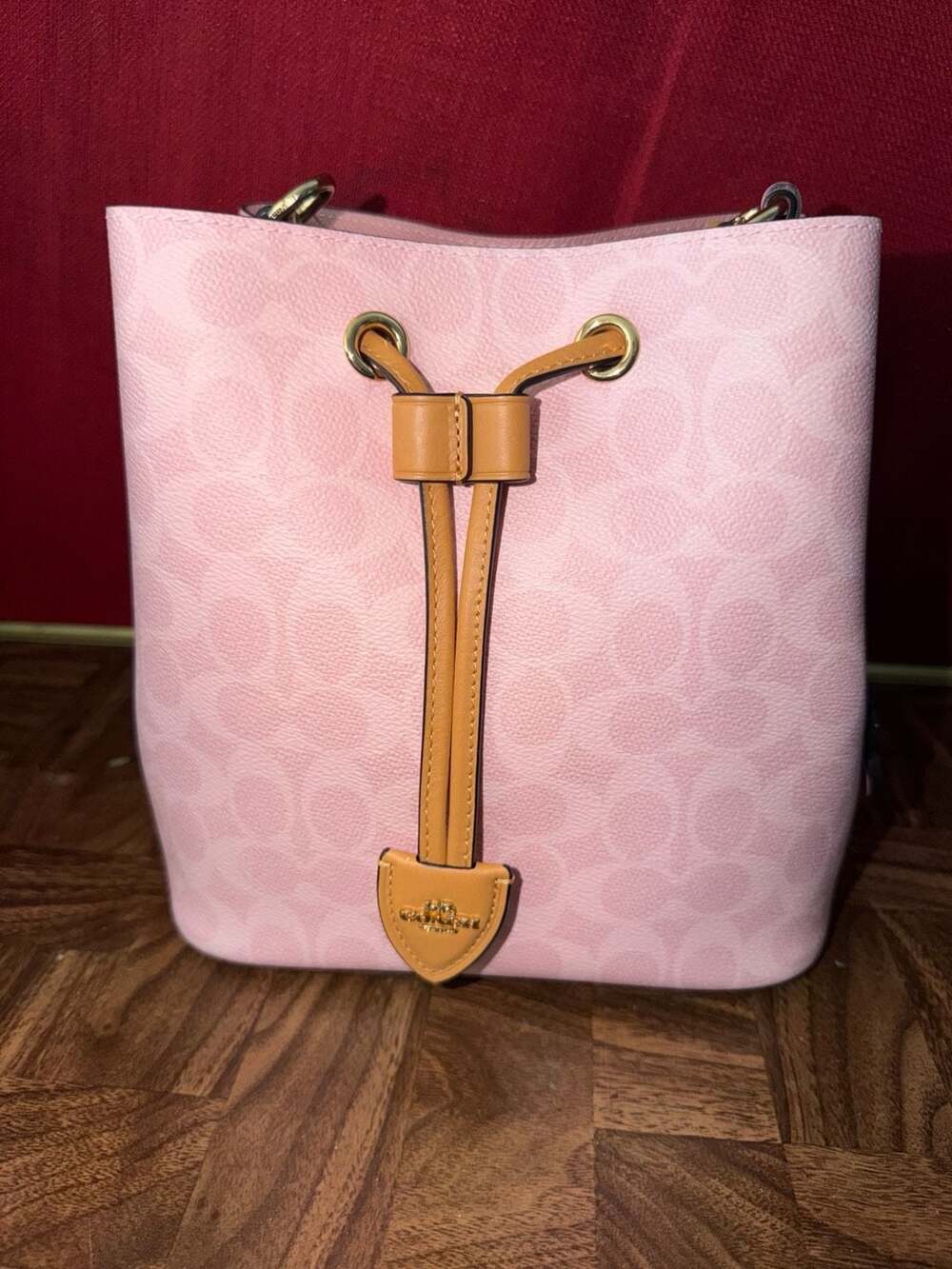 Coach Signature Rowan Bucket Bag With Charm